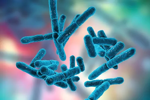 Read more about the article Probiotyki, prebiotyki, synbiotyki i postbiotyki