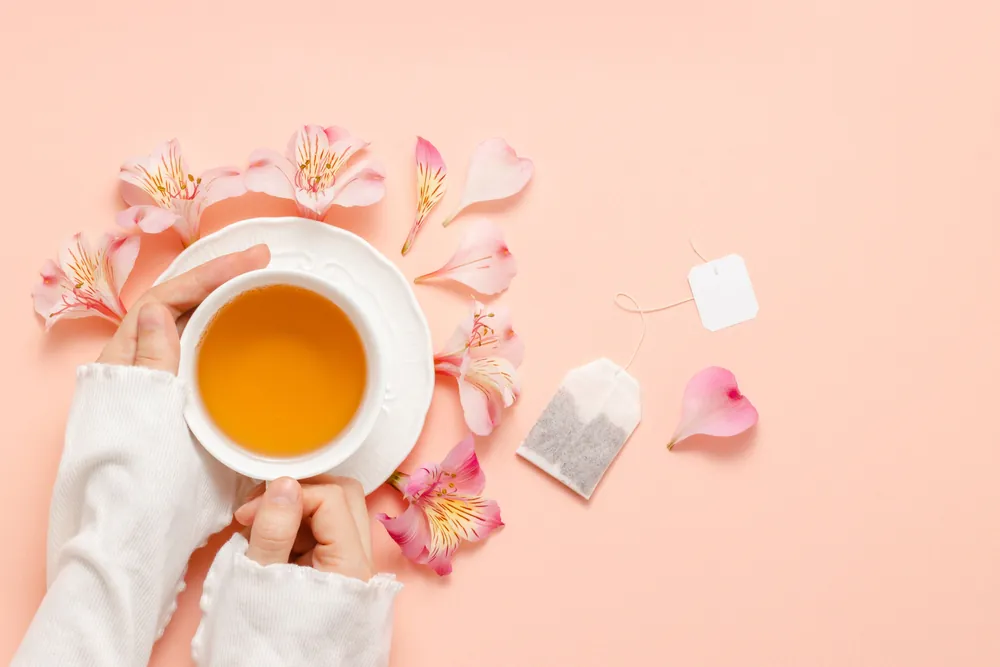 Read more about the article Czy zioła mogą być wykorzystywane w profilaktyce chorób?