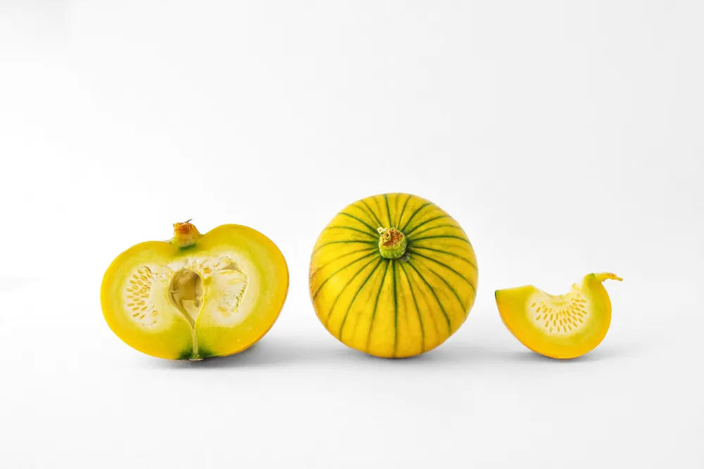 Read more about the article Zucchiolo – fascynujące warzywo